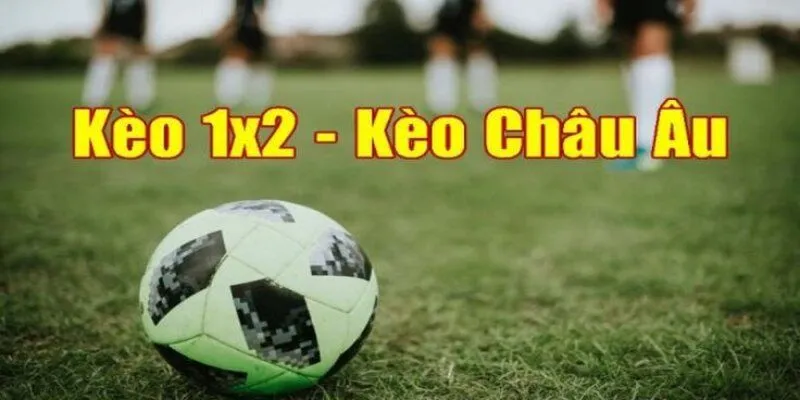 Cách đọc kèo cược 1x2 cơ bản